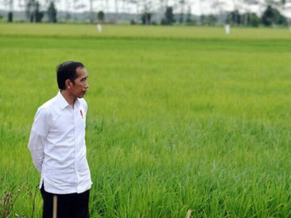 Pro Kontra Food Estate Jokowi Terjadi di Internal PDIP